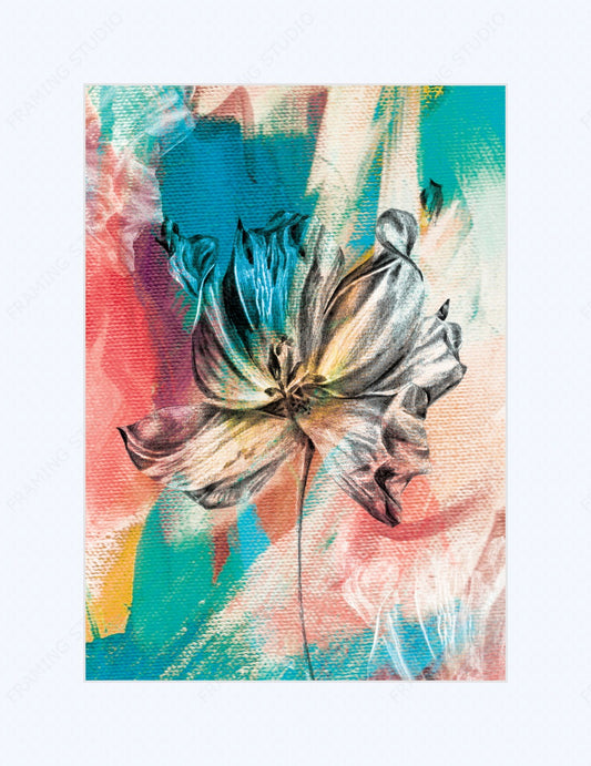 Tulip Mounted Print